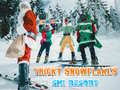 ಗೇಮ್ Ski Resort Hidden Snowflakes
