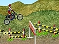 खेल Motorcycle Rally