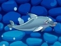 ગેમ My Dolphin Show 5