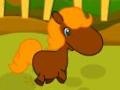 खेल Pony Races