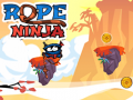 खेल Rope Ninja 