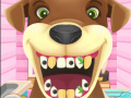 खेल Animal Dentist 