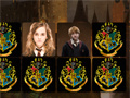 ಗೇಮ್ Harry Potter Memo Deluxe