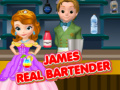 ગેમ James Real Bartender