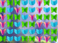 ગેમ Butterfly Collector
