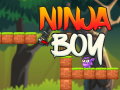 खेल Ninja Boy