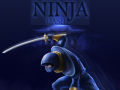 ગેમ Ninja Dash