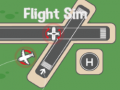 ગેમ Flight Sim