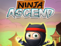 ગેમ Ninja Ascend