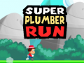 ગેમ Super Plumber Run