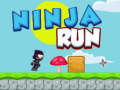 ગેમ Ninja Run 