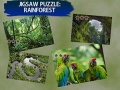 ಗೇಮ್ Jigsaw Puzzle Rain Forest 