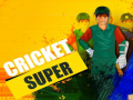 खेल Super Cricket      