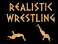 ગેમ Realistic wrestling