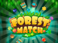 खेल Forest Match