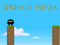 ગેમ Springy Ninja
