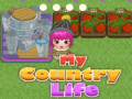 ಗೇಮ್ My County Life