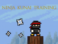 ગેમ Ninja Kunai Training