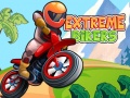 ગેમ Extreme Bikers