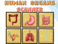 खेल Human Organs Scanner