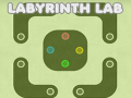 விளையாட்டு Labyrinth Lab