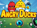 खेल Angry Ducks