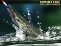 ગેમ Summer Lake 1.5