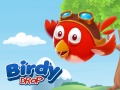 खेल Birdy Drop