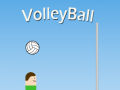 ગેમ VolleyBall