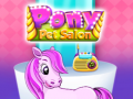 ગેમ Pony Pet Salon
