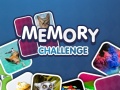 खेल Memory Challenge