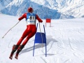 விளையாட்டு Slalom Ski Simulator