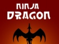 ગેમ Ninja Dragon