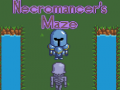 खेल Necromancer's Maze