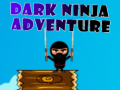 ગેમ Dark Ninja Adventure