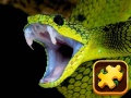 खेल Snake Puzzle Challenge