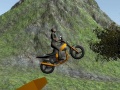 खेल Dirt Bike Rider