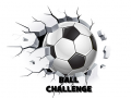ಗೇಮ್ Ball Challenge
