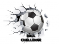 खेल Ball Challenge