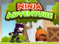 खेल Ninja Adventure