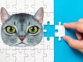 खेल Abyssinian Puzzle Challenge