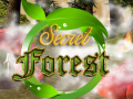 ಗೇಮ್ Secret Forest