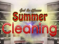 ಗೇಮ್ Spot The differences Summer Cleaning
