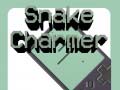 खेल Snake Charmer