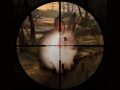 ગેમ Classical Rabbit Sniper Hunting 2019