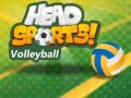 ಗೇಮ್ Head Sports Volleyball