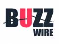 खेल Buzz Wire