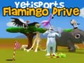 ગેમ Yetisports Flamingo Drive