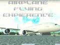 ગેમ Airplane Flying Expierence