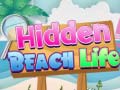 ગેમ Hidden Beach Life